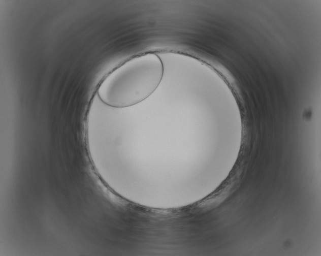X0000093560807200710150955