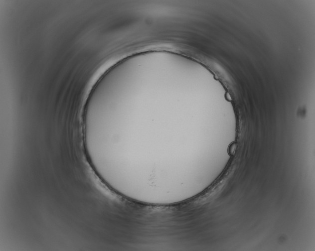X0000093560808200710150955