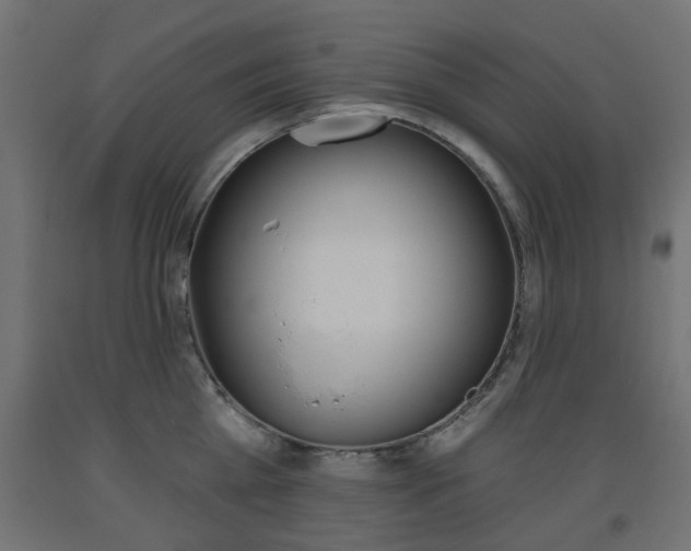 X0000093560809200710150955