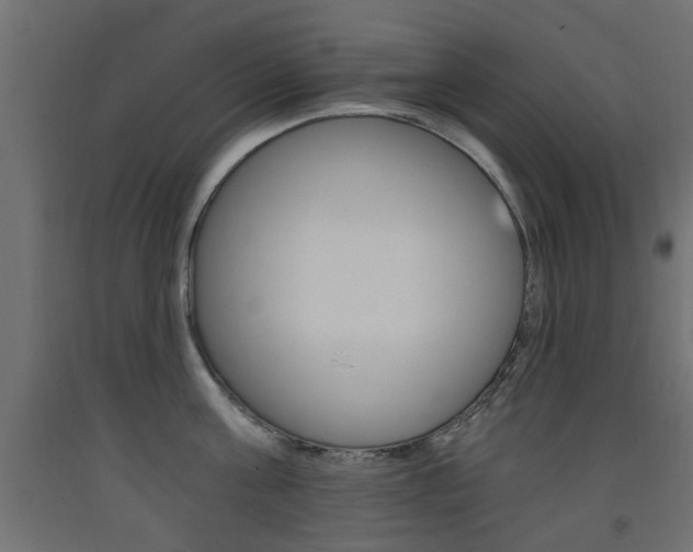 X0000093560811200710150955