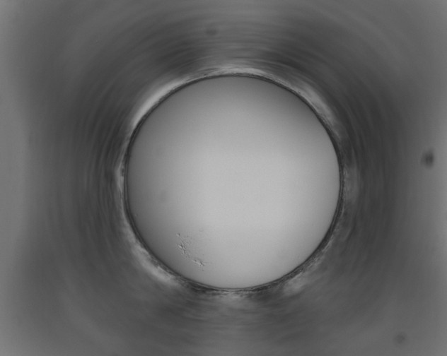 X0000093560814200710150955