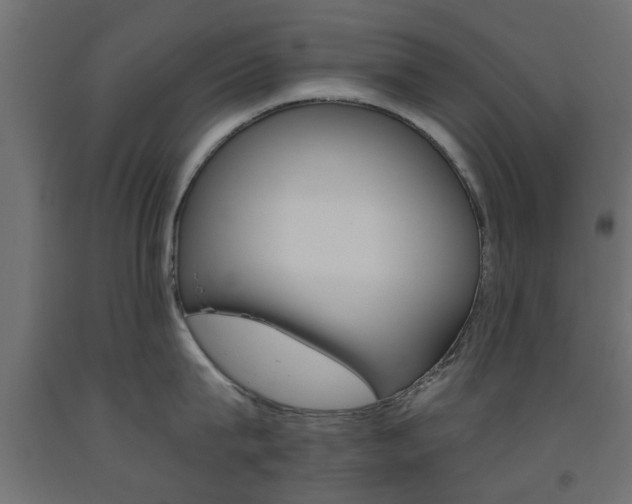 X0000093560815200710150955