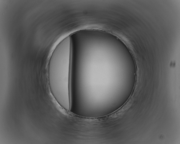 X0000093560816200710150955