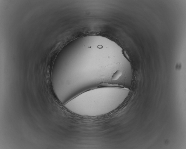 X0000093560818200710150954
