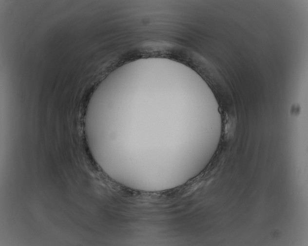 X0000093560819200710150954