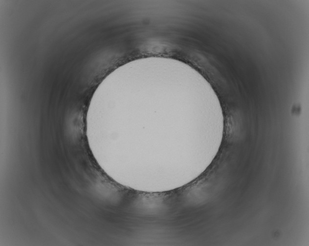 X0000093560820200710150954
