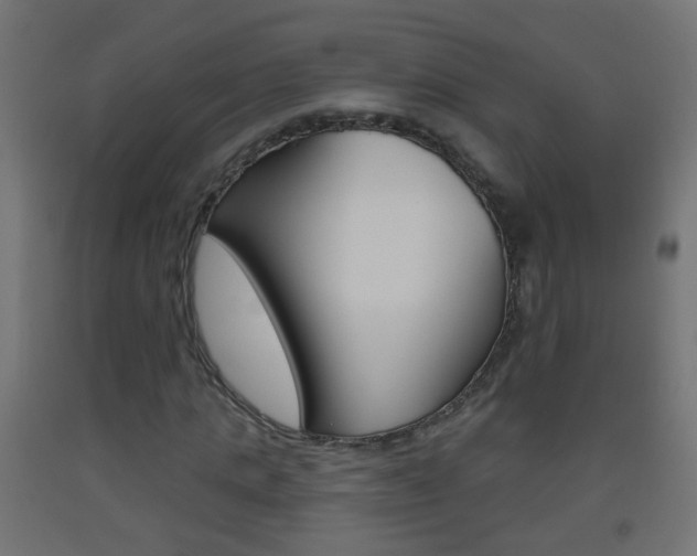 X0000093560821200710150954