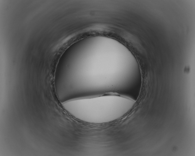 X0000093560822200710150955