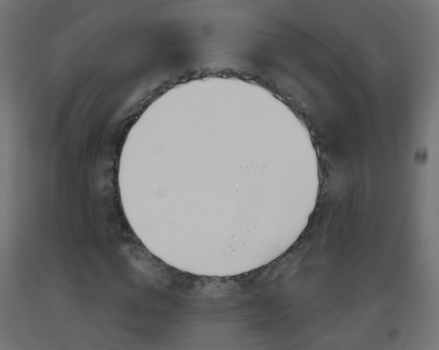X0000093560824200710150955