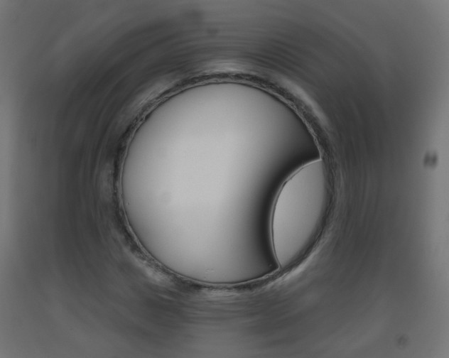 X0000093560825200710150955