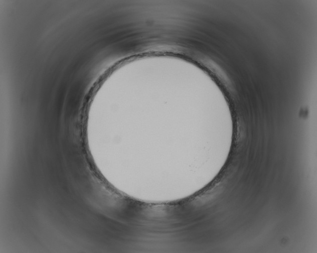 X0000093560828200710150955