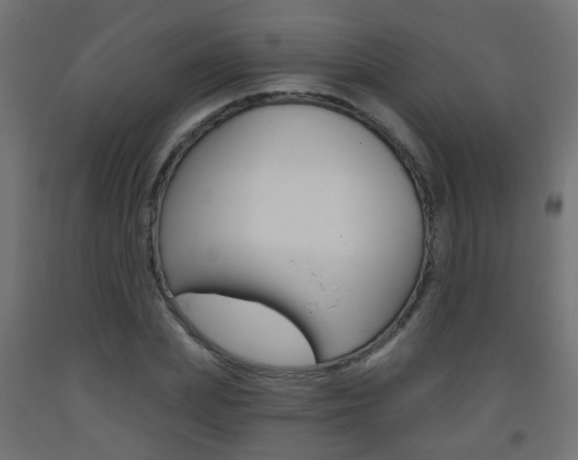 X0000093560831200710150955