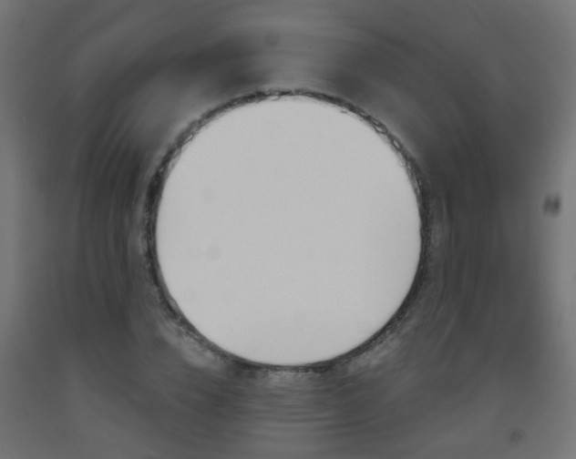 X0000093560832200710150955