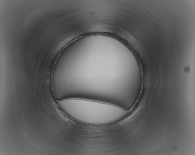 X0000093560833200710150955