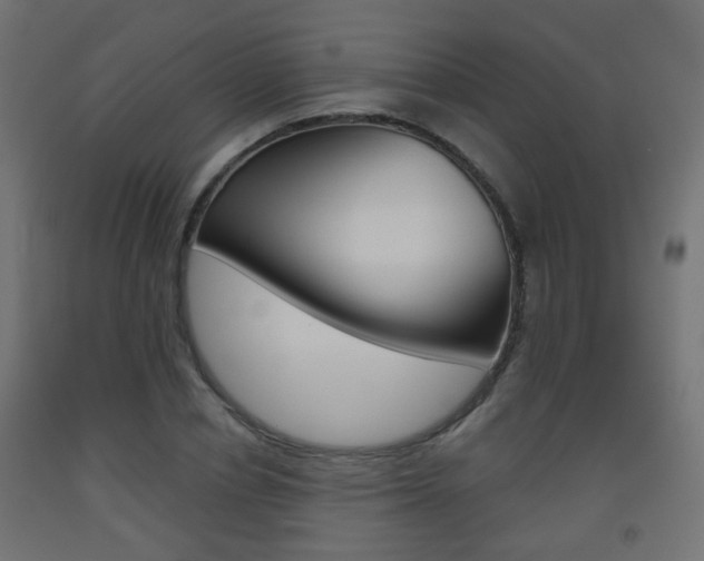 X0000093560834200710150955