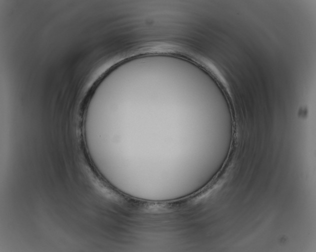 X0000093560835200710150955