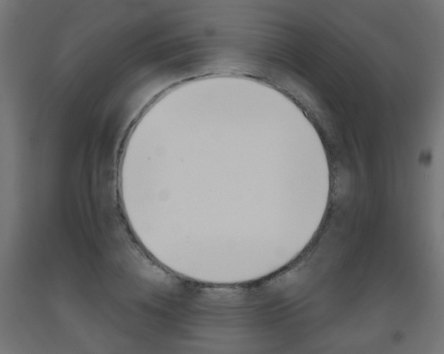 X0000093560836200710150955