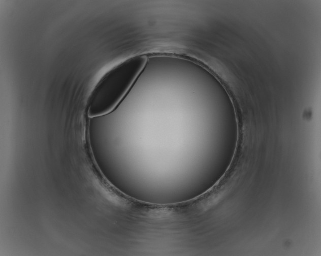 X0000093560838200710150955