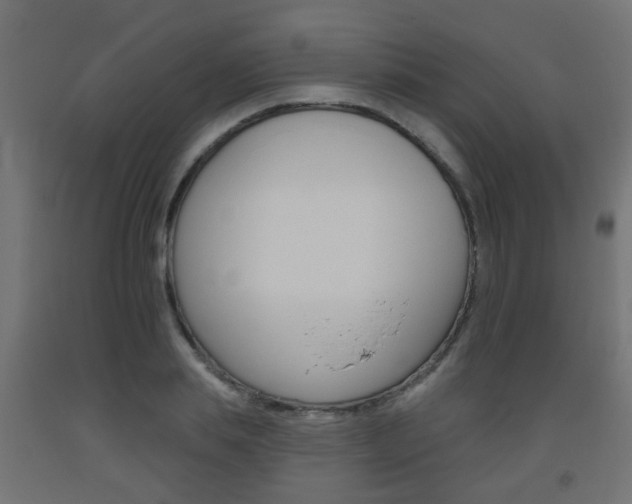 X0000093560839200710150955