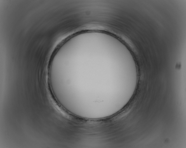 X0000093560840200710150955