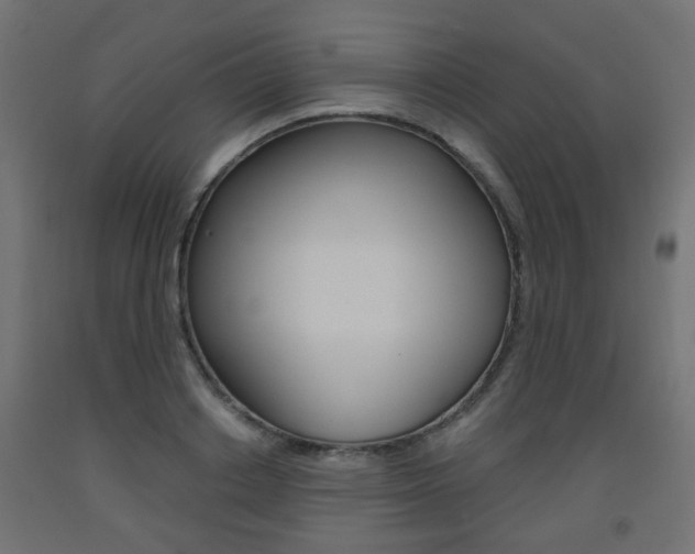X0000093560842200710150955
