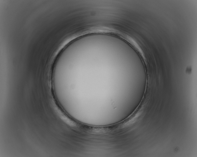 X0000093560843200710150955