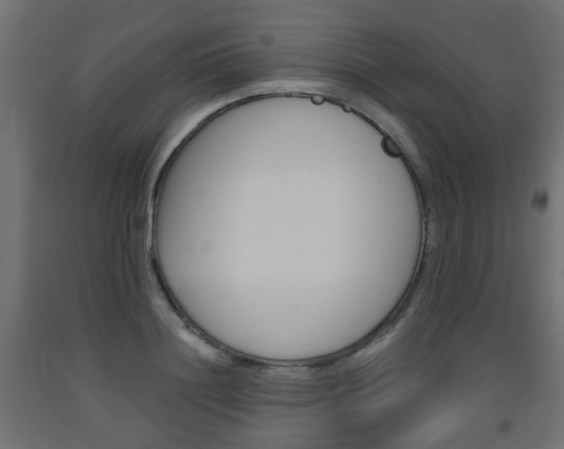 X0000093560844200710150955