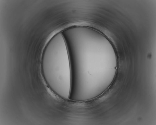 X0000093560845200710150955