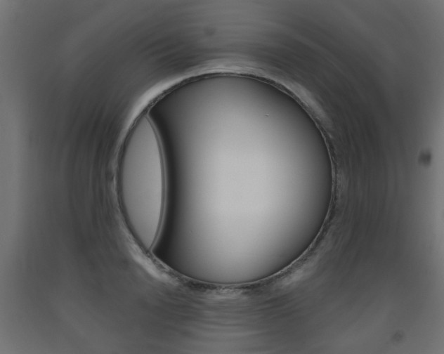 X0000093560846200710150955