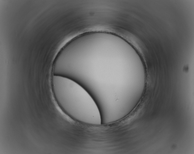 X0000093560847200710150955