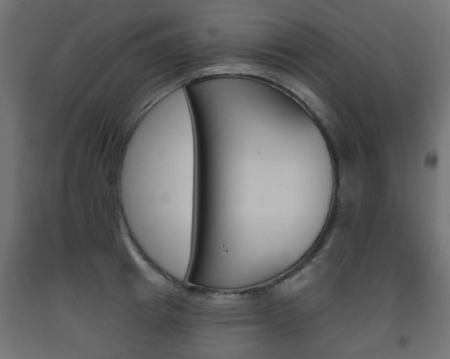 X0000093560849200710150955