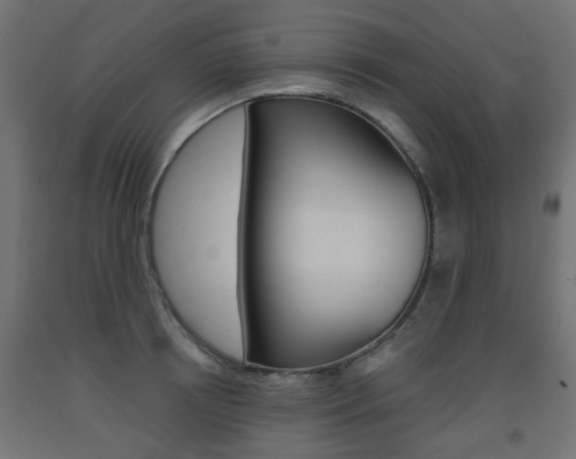 X0000093560850200710150955