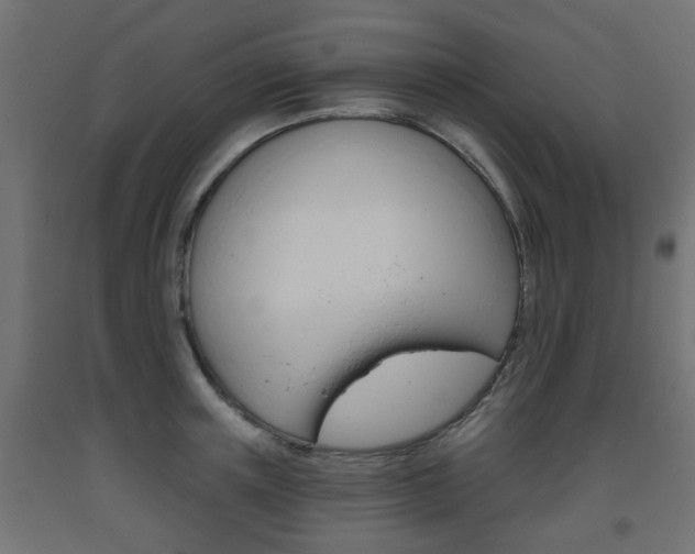 X0000093560851200710150955