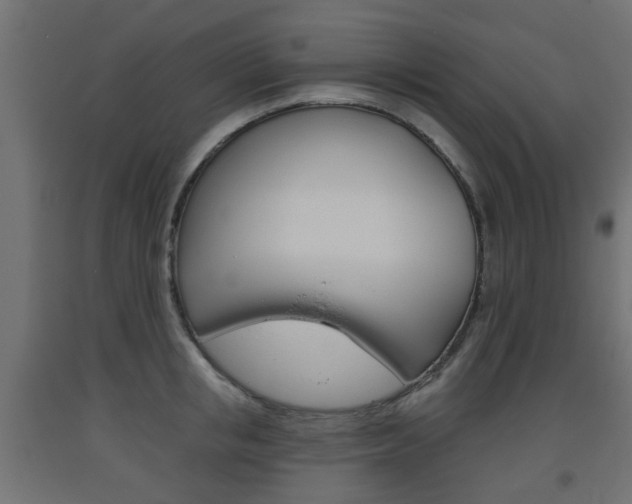 X0000093560853200710150955