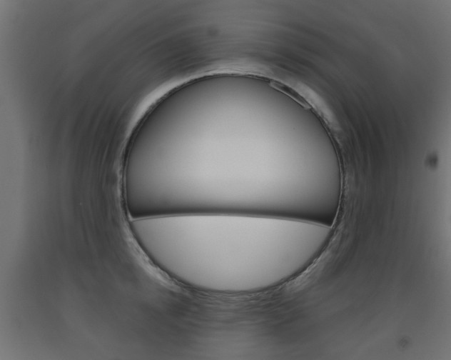 X0000093560854200710150955
