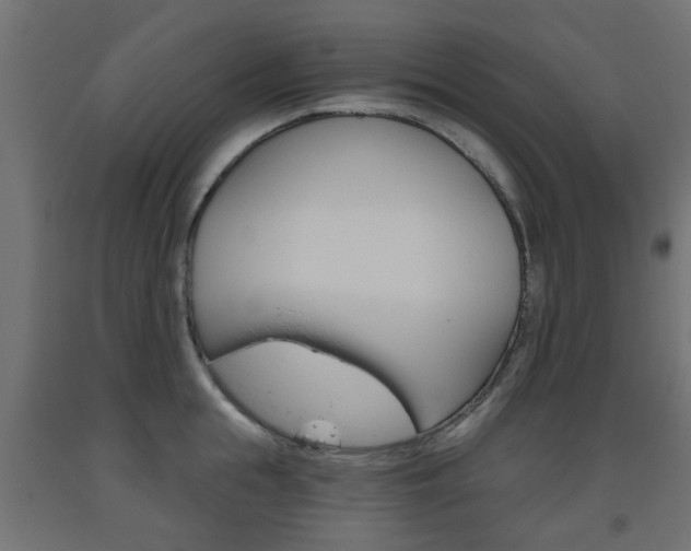 X0000093560855200710150955