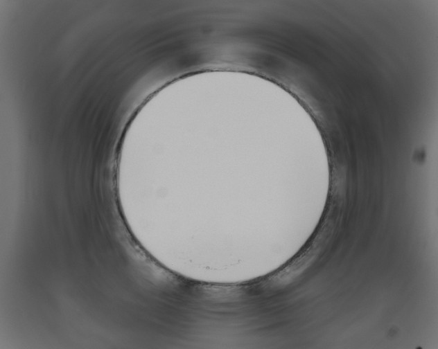 X0000093560856200710150955