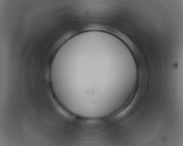 X0000093560857200710150955