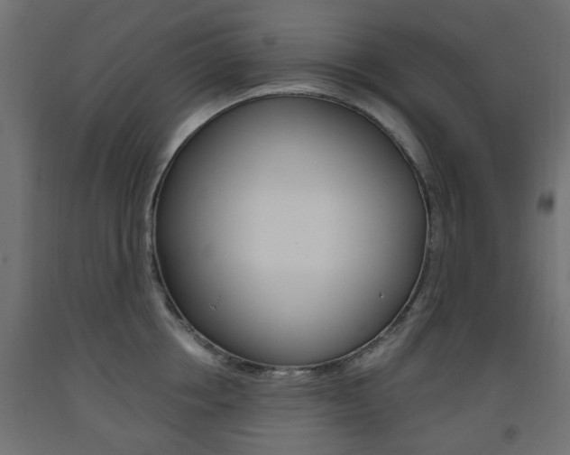 X0000093560858200710150955