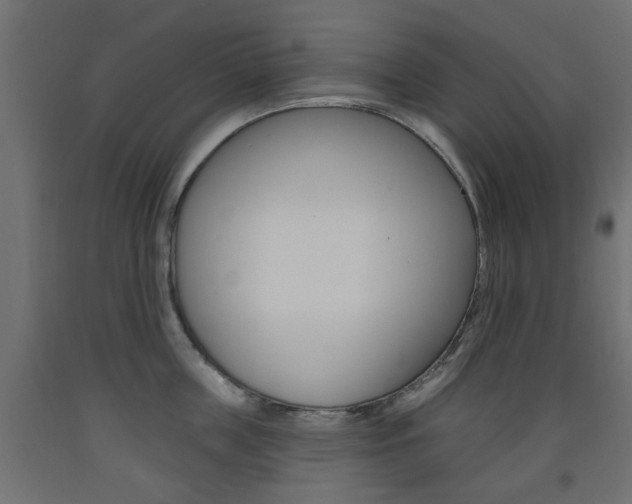 X0000093560859200710150955
