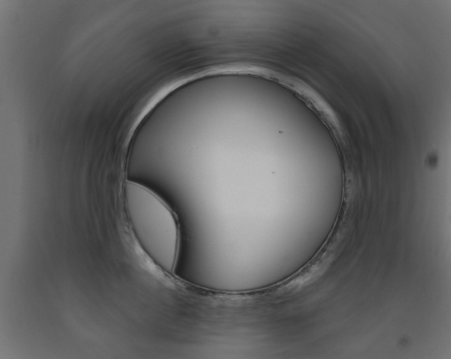 X0000093560860200710150955