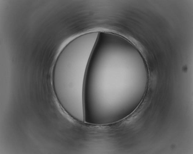 X0000093560862200710150955