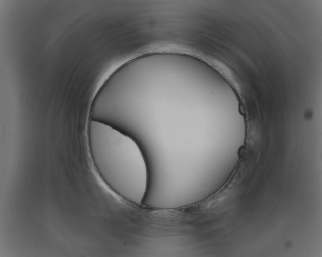 X0000093560863200710150955