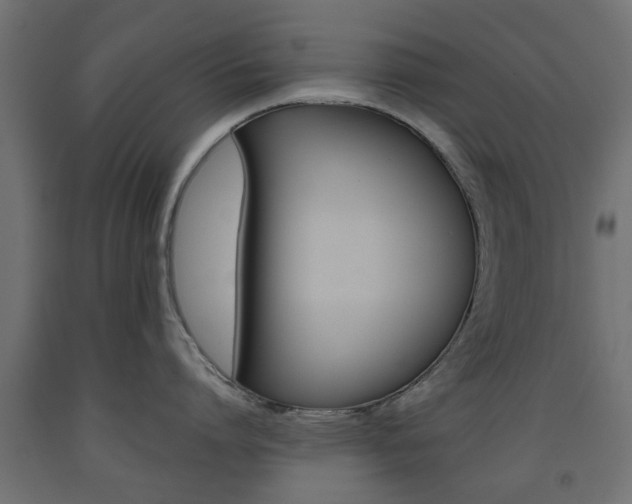 X0000093560864200710150955