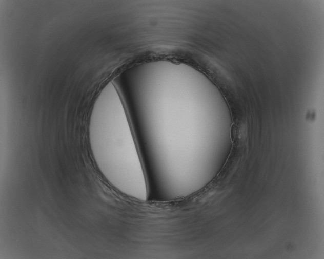 X0000093560868200710150954