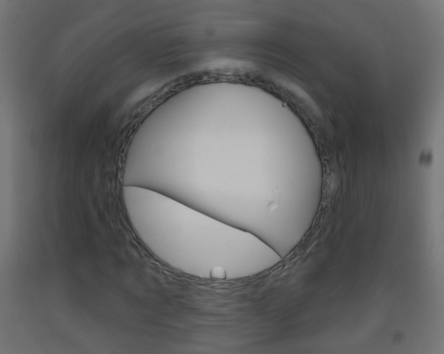 X0000093560869200710150954