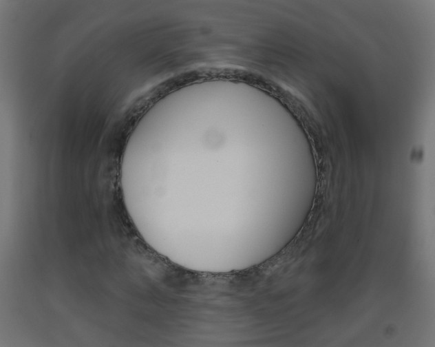 X0000093560870200710150954