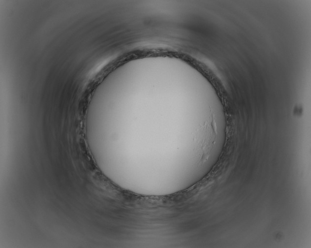 X0000093560871200710150954