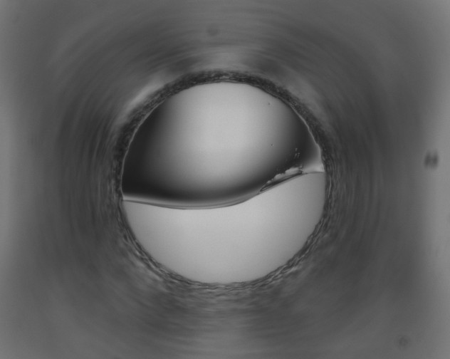 X0000093560872200710150954