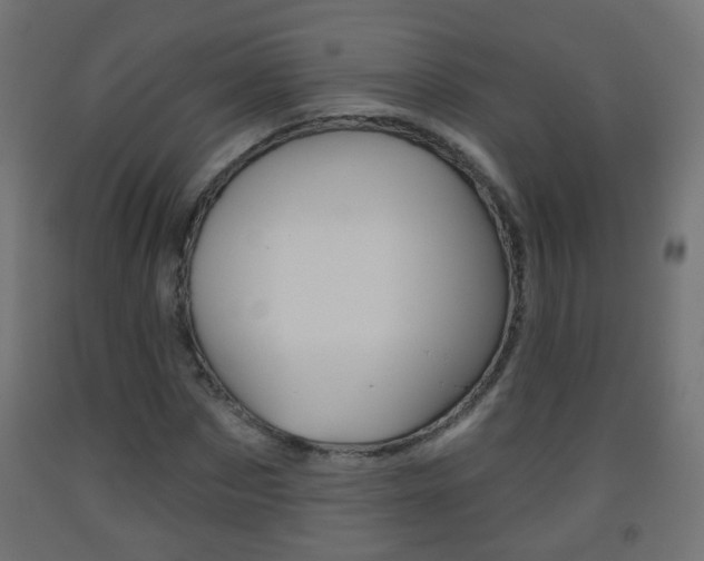 X0000093560873200710150954